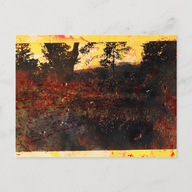 Altered Scene Postcard (Front)