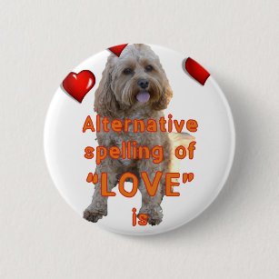 cavoodle gifts