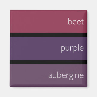 Alternity magnet: colour swatches magnet