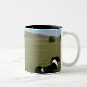Although Cows and dogs are from different Two-Tone Coffee Mug