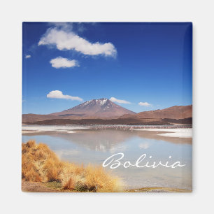 Altiplano landscape with volcano in Bolivia Magnet