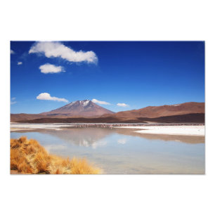 Altiplano landscape with volcano in Bolivia Photo Print