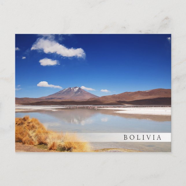 Altiplano landscape with volcano in Bolivia Postcard (Front)