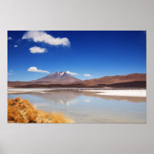 Altiplano landscape with volcano in Bolivia Poster