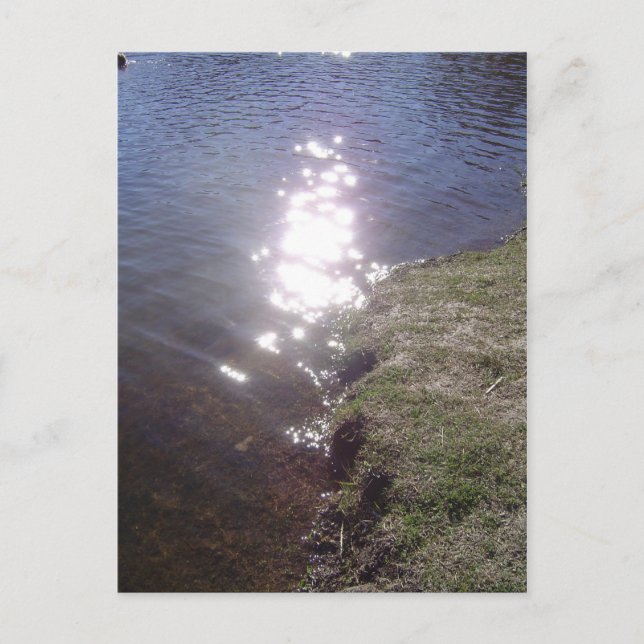 Aluminantes Postcard (Front)