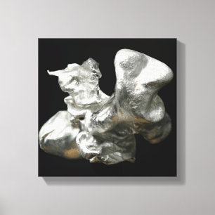 Aluminium Canvas Print
