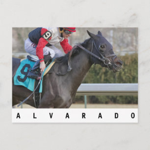 Alvarado Postcard