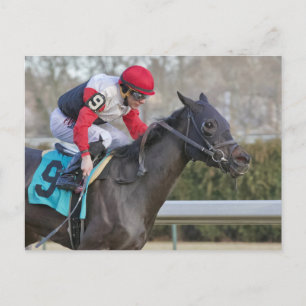 Alvarado Postcard