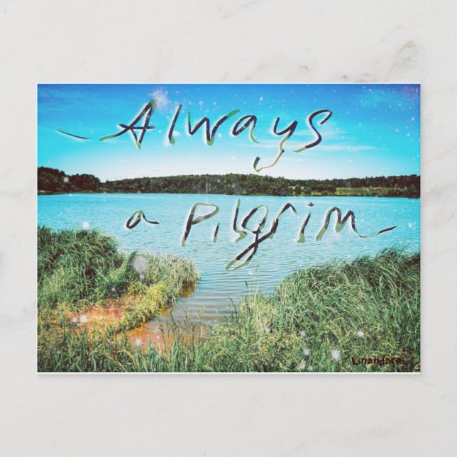 Always A Pilgrim Postcard (Front)