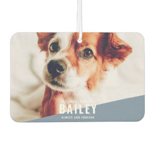 Always and Forever Pet Memorial Modern Photo Car Air Freshener