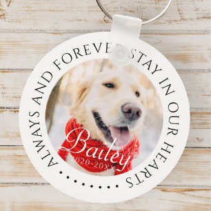 Always and Forever Stay In Our Hearts Pet Memorial Key Ring