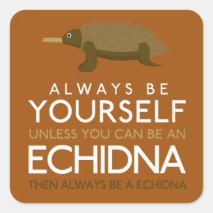 Always Be Yourself Unless You Can Be A Echidna Square Sticker