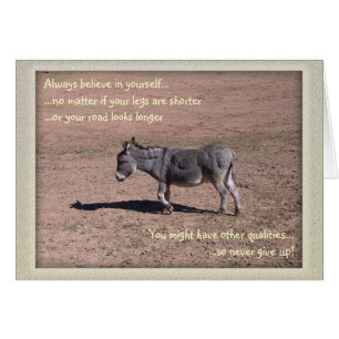 Always believe in yourself