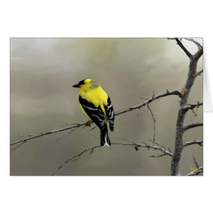 Always Believe In Yourself