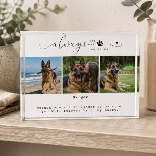 Always Beside Me White Pet Memorial Three Photo Block