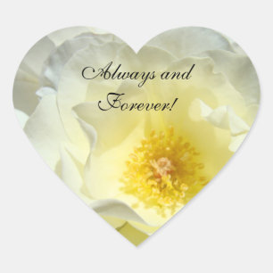 Always & Forever! stickers Pastel White Rose