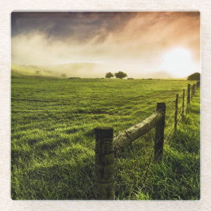 Always Greener on the Other Side Glass Coaster