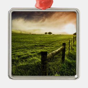 Always Greener on the Other Side Metal Ornament