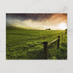 Always Greener on the Other Side Postcard