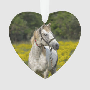 Always in our Hearts, Horse Remembrance Ornament