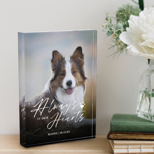 Always In Our Hearts Pet Photo Memorial (Creator Uploaded)