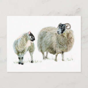 Always listen to your Maaaa! Postcard