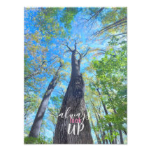 Always Look Up autumn sky and leaves 