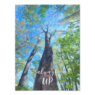 Always Look Up autumn sky and leaves Photo Print
