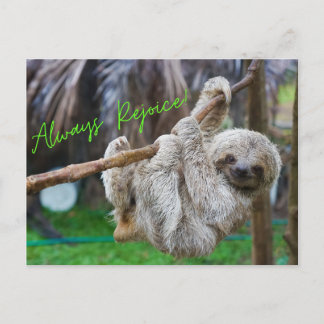 Always Rejoice hanging sloth postcard