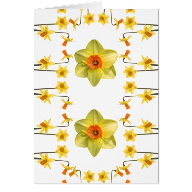 Always Spring (Front)