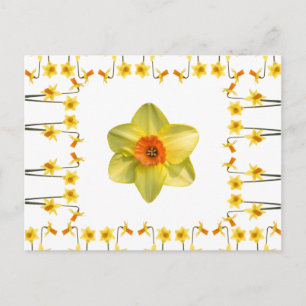 Always Spring Postcard