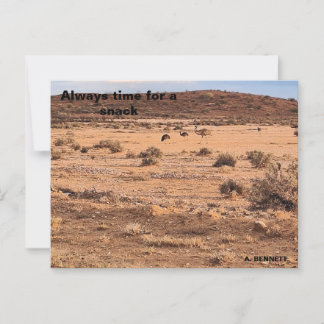Always time for a snack postcard