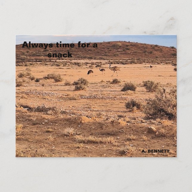 Always time for a snack postcard (Front)