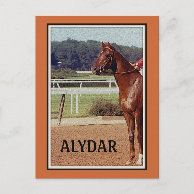 Alydar Belmont Stakes Post Parade 1978 Postcard (Front)