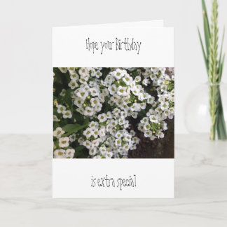 Alyssum Birthday Card