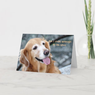 Am I Cute Enough to be Your Valentine? Holiday Card