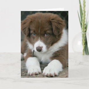 AM I "SERIOUS" YES I AM ON YOUR BIRTHDAY! CARD