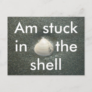 Am Stuck in the Shell" Funny Relatable Greeting Ca Postcard
