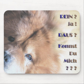 Amadeus passt auf mouse pad