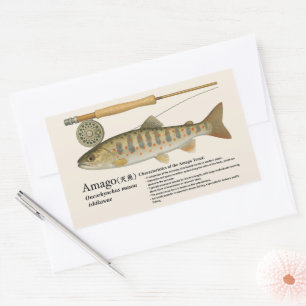 Amago (Oncorhynchus masou ishikawae) – English Rectangular Sticker