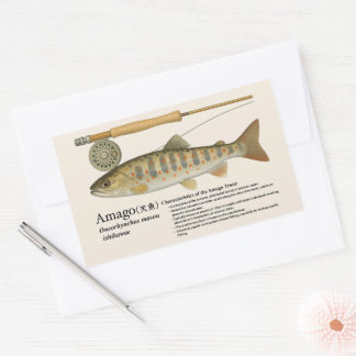 Amago (Oncorhynchus masou ishikawae) – English Rectangular Sticker