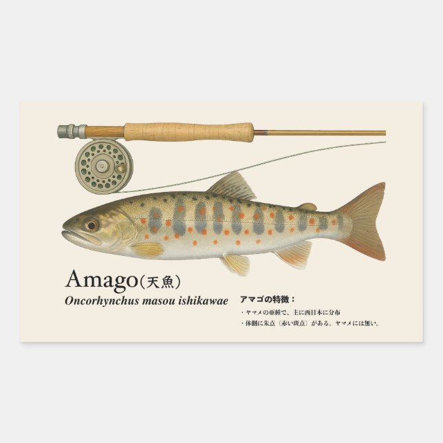 Amago (Oncorhynchus masou ishikawae) – Fish Illust Rectangular Sticker (Front)