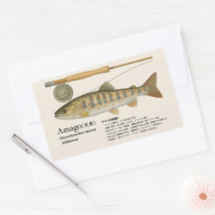 Amago (Oncorhynchus masou ishikawae) – Japanese Rectangular Sticker