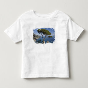 Amalfi coast, Ravello, Campania, Italy Toddler T-Shirt