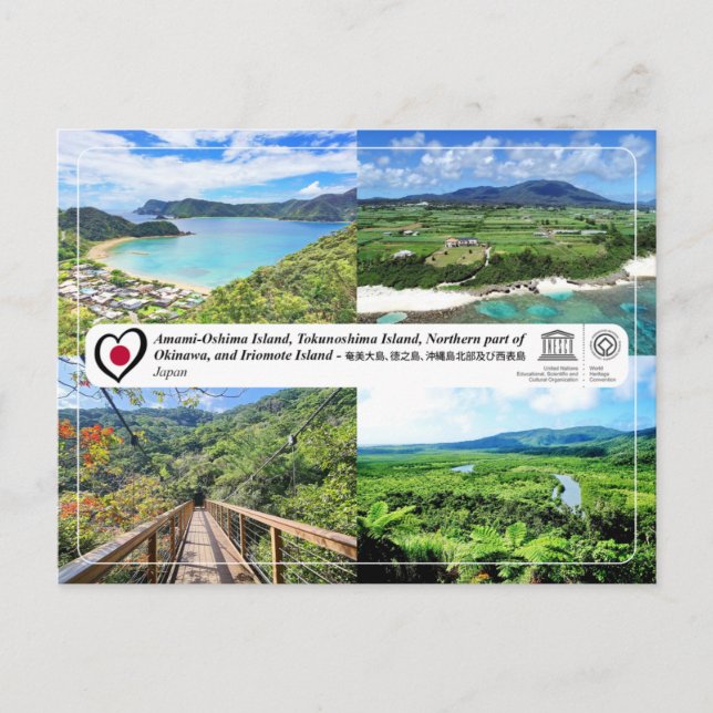 Amami-Oshima, Tokunoshima, Okinawa, Iriomote Postcard (Front)