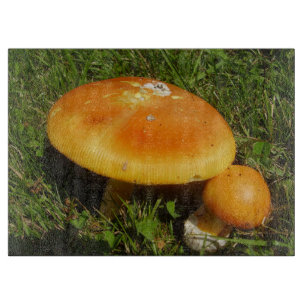 Amanita Caesarea Mushroom Glass Chopping Board