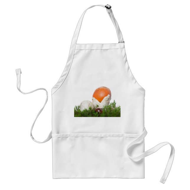 Amanita Caesarea mushroom Standard Apron (Front)
