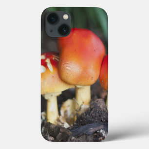 Amanita family mushroom iPhone 13 case