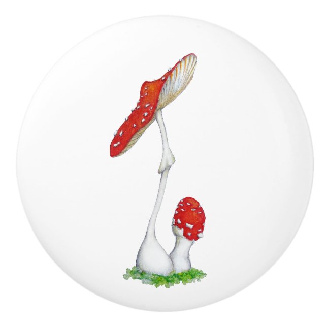 Amanita muscaria ceramic knob (Front)