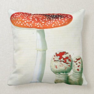 Amanita Muscaria from 'Phytographie Medicale' by J Cushion